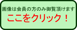 会員用画像