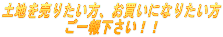 �y�n�𔄂肽�����A�������ɂȂ肽����
����񉺂����I�I